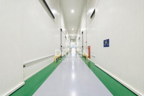 مستودع في جبل علي, دبي 6427.03 م² رقم 145656 - صورة 13