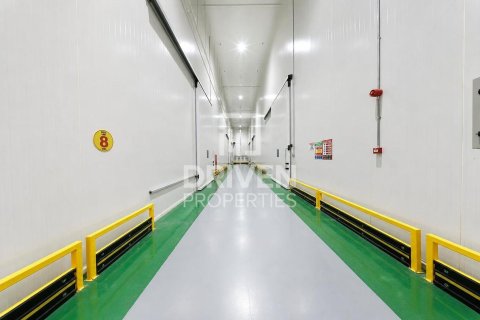 مستودع في جبل علي, دبي 6427.03 م² رقم 145656 - صورة 12