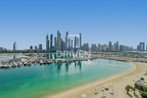 شقة في EMAAR Beachfront, Dubai Harbour, دبي 1غرف نوم, 68.66 م² رقم 145500 - صورة 17