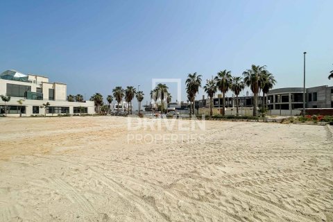 قطعة أرض في Pearl Jumeirah, جميرا, دبي 1069.87 م² رقم 144710 - صورة 11