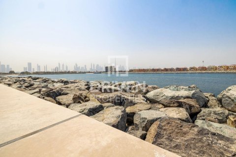 قطعة أرض في Pearl Jumeirah, جميرا, دبي 1069.87 م² رقم 144710 - صورة 17