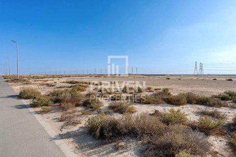 Terrain à Jebel Ali, Dubai, 961.92 m², № 144840 - photo 4