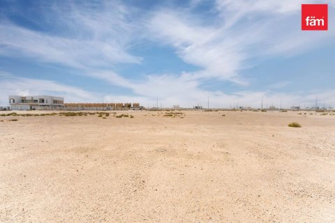 Land in Jebel Ali, Dubai 1138.8 sq.m. № 144033 - photo 7