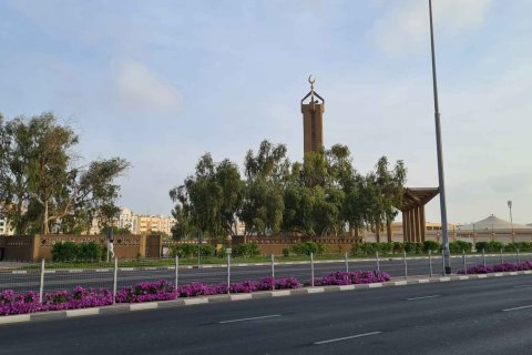 Al Baraha - photo 8
