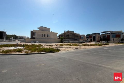 قطعة أرض في دبي 1824.5 م² رقم 112492 - صورة 9
