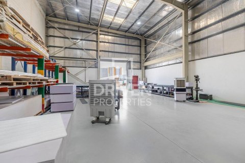 مستودع في جبل علي, دبي 2393.37 م² رقم 130090 - صورة 12