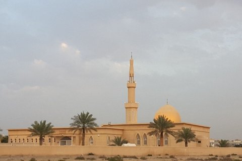 Al Mizhar - photo 8