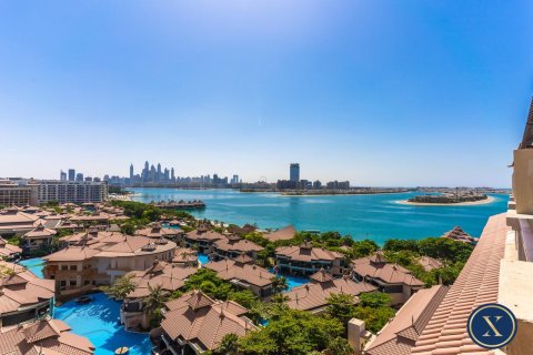 Купить квартиру в Пальме Джумейре, Дубай: студию, 63м², № 46069 - фото 2