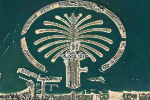 قطعة أرض في Palm Jebel Ali, دبي 2378 م² رقم 74081 - صورة 19
