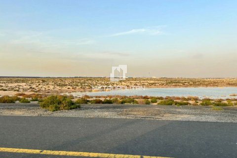Купить земельный участок в Джабаль-Али, Дубай: 900м², № 74087 - фото 2