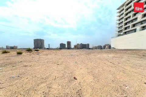 قطعة أرض في Majan, دبي 1564.5 م² رقم 124296 - صورة 8