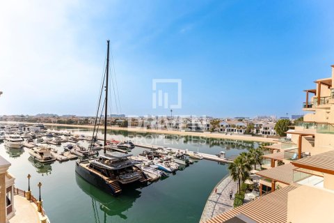 Appartement à Palm Views, Palm Jumeirah, Dubai, studio, 51 m², № 140421