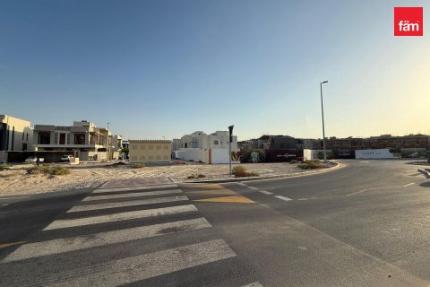 قطعة أرض في دبي 1395 م² رقم 139416 - صورة 6