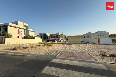 قطعة أرض في دبي 1395 م² رقم 139416 - صورة 4