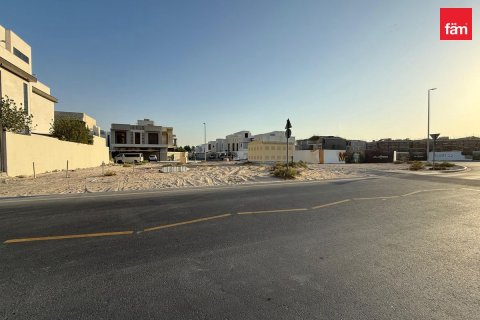 قطعة أرض في دبي 1395 م² رقم 139416 - صورة 2