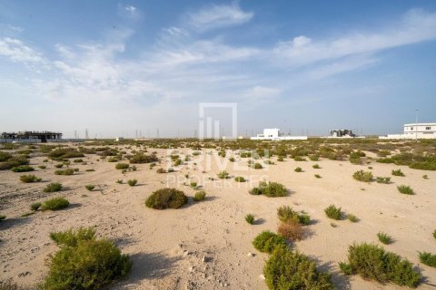 Land in Jebel Ali, Dubai 1013.76 sq.m. № 140156 - photo 8