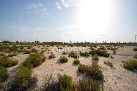 Land in Jebel Ali, Dubai 1013.76 sq.m. № 140156 - photo 7