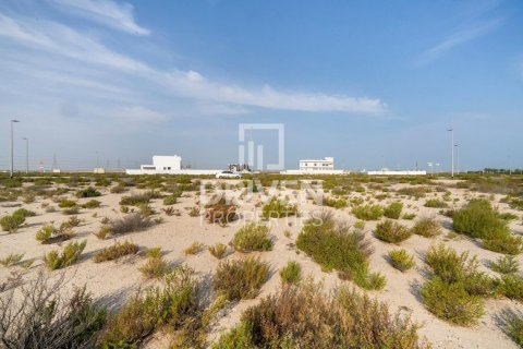 Land in Jebel Ali, Dubai 1013.76 sq.m. № 140156 - photo 5