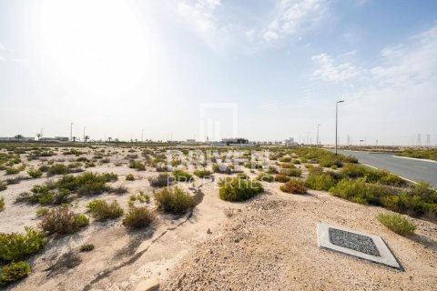 Land in Jebel Ali, Dubai 1013.76 sq.m. № 140156 - photo 3