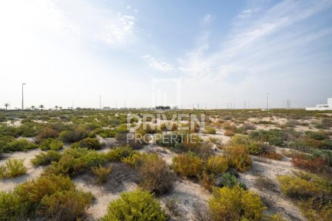 Land in Jebel Ali, Dubai 1013.76 sq.m. № 140156 - photo 10
