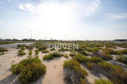 Land in Jebel Ali, Dubai 1013.76 sq.m. № 140156 - photo 11