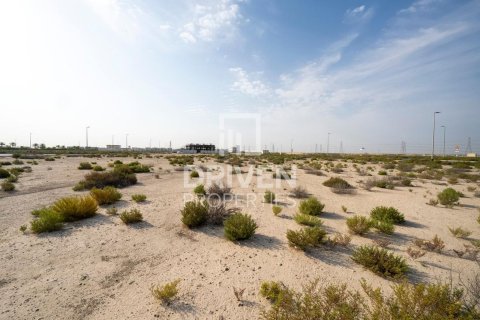 Land in Jebel Ali, Dubai 1013.76 sq.m. № 140156 - photo 6