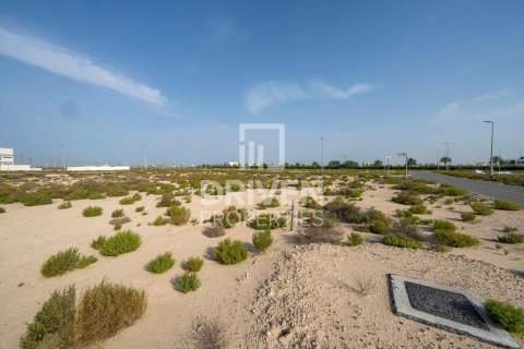 Land in Jebel Ali, Dubai 1013.76 sq.m. № 140156 - photo 9