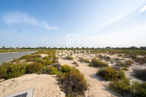 Land in Jebel Ali, Dubai 1013.76 sq.m. № 140156 - photo 12