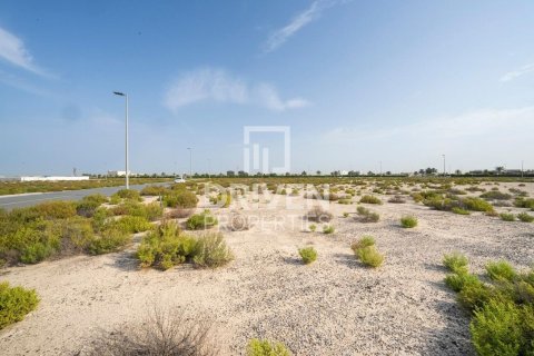 Land in Jebel Ali, Dubai 1013.67 sq.m. № 140157 - photo 4