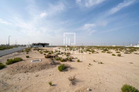 Land in Jebel Ali, Dubai 1013.67 sq.m. № 140157 - photo 7