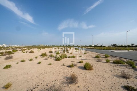 Land in Jebel Ali, Dubai 1013.67 sq.m. № 140157 - photo 6