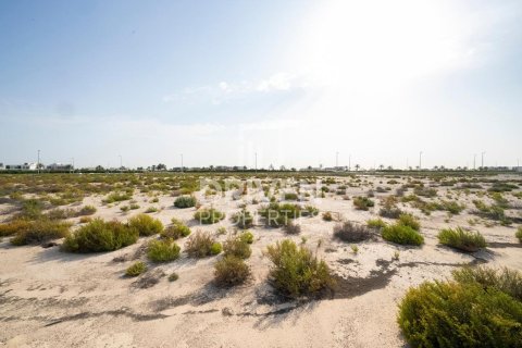 Land in Jebel Ali, Dubai 1013.67 sq.m. № 140157