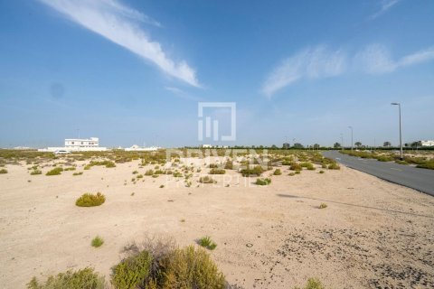 Land in Jebel Ali, Dubai 1013.67 sq.m. № 140157 - photo 9