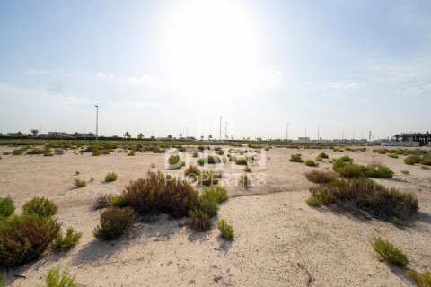 Land in Jebel Ali, Dubai 1013.67 sq.m. № 140157 - photo 8