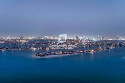 شقة في نخلة جميرا, دبي 4 غرف نوم, 505 م² رقم 15491 - صورة 18