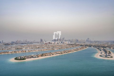 شقة في نخلة جميرا, دبي 4 غرف نوم, 505 م² رقم 15491 - صورة 17