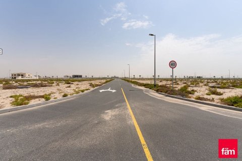 Terrain à Jebel Ali, Dubai, 1030.7 m², № 114083 - photo 8