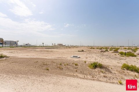 Terrain à Jebel Ali, Dubai, 1030.7 m², № 114083 - photo 3