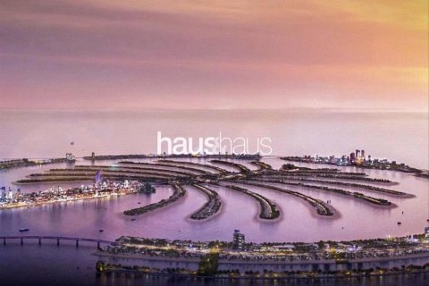 قطعة أرض في Palm Jebel Ali, دبي 1800 م² رقم 43938 - صورة 4