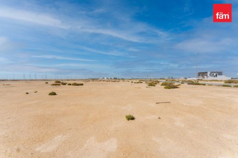 Land in Jebel Ali, Dubai 916.3 sq.m. № 70480 - photo 6