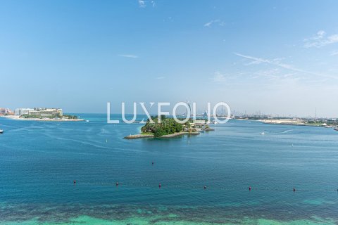 شقة في Shoreline Apartments, نخلة جميرا, دبي 2 غرف نوم, 183 م² رقم 45780 - صورة 5