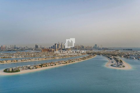 شقة في نخلة جميرا, دبي 4 غرف نوم, 401 م² رقم 73434 - صورة 21