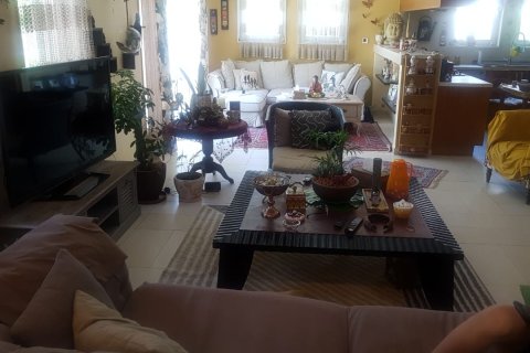 Villa en Regional, Jumeirah Park, Dubai, 5 dormitorios, 490 m², № 761 - foto 4