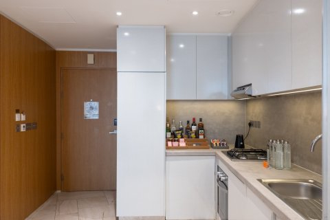 Hotel Apartment in Dubai 2 bedrooms, 259 sq.m. № 103208 - photo 11
