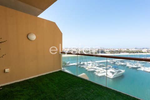 Appartement à Palm Views, Palm Jumeirah, Dubai, studio, 51 m², № 37946