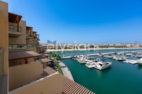 شقة في Palm Views, نخلة جميرا, دبي استوديو, 51 م² رقم 37946 - صورة 10