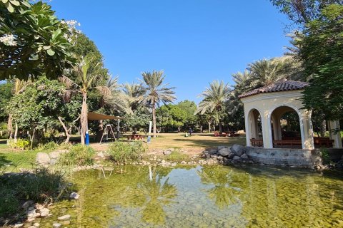 Green Community - photo 11