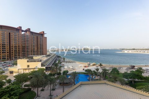 شقة في نخلة جميرا, دبي 3 غرف نوم, 3824 م² رقم 37934 - صورة 5