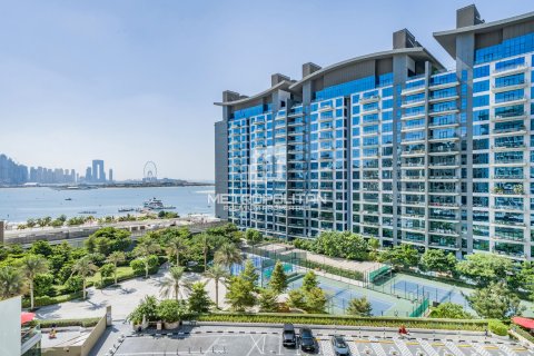 Apartment in Seven Palm, Palm Jumeirah, Dubai studio, 34 sq.m. № 72939