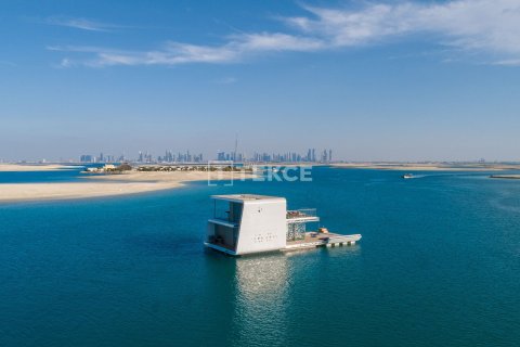 Villa à The World Islands, Dubai, 2 chambres, 371 m², № 4283